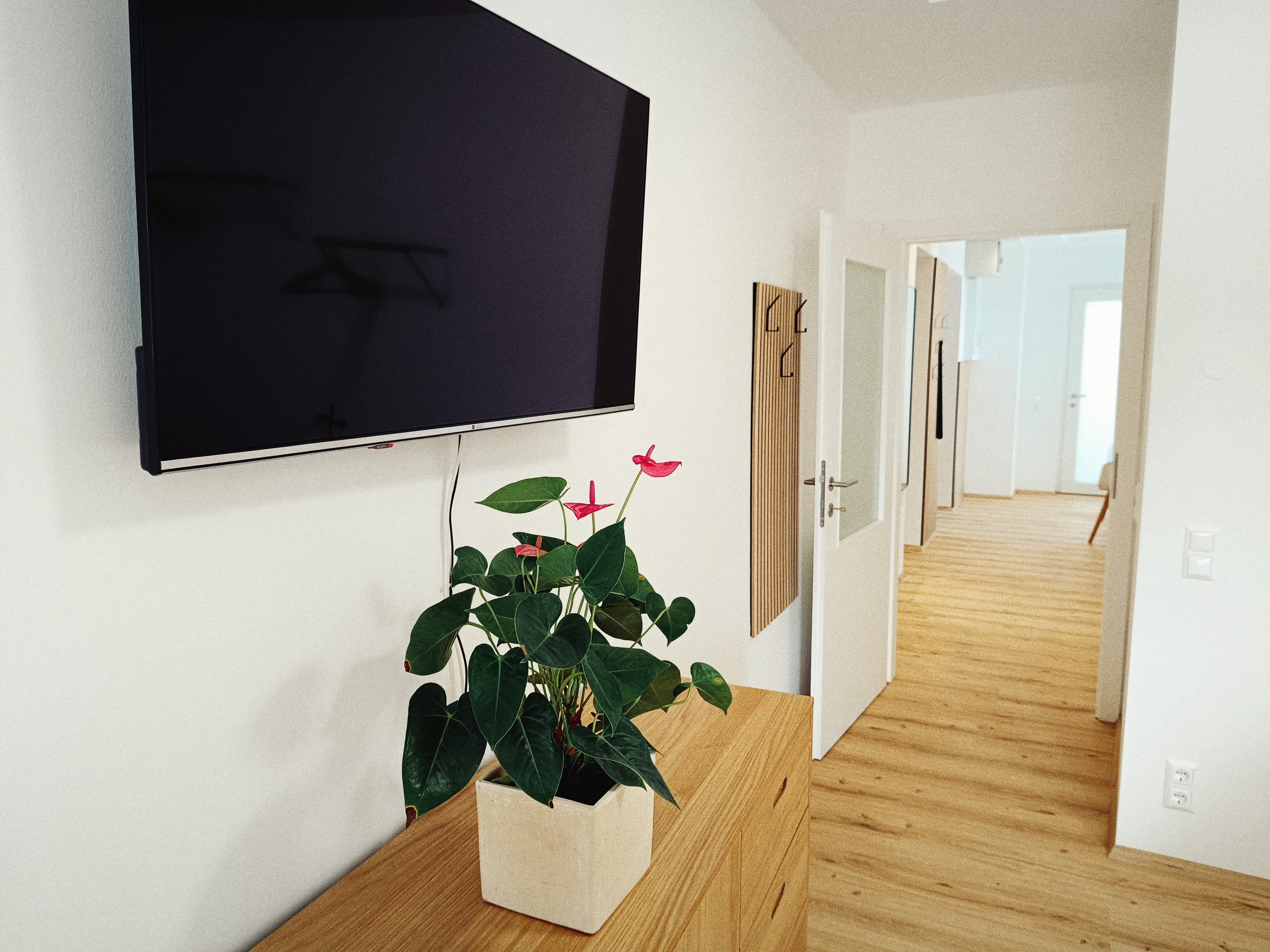 Ein modernes, minimalistisches Wohnungsinterieur mit einem großen Fernseher über einem Holzschrank mit einer Topfpflanze der Gattung Anthurium und einem Flur, der zu anderen Räumen führt.